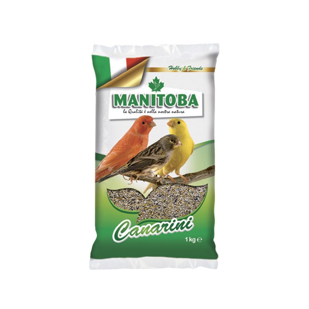 MISTO CANARINI BISCUIT MANITOBA - KG 1